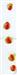  Disc glands